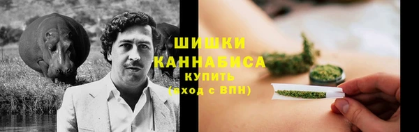 ALPHA PVP Богородицк