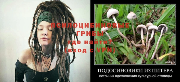 ALPHA PVP Богородицк